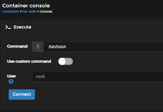 Portainer Container Console Configuration