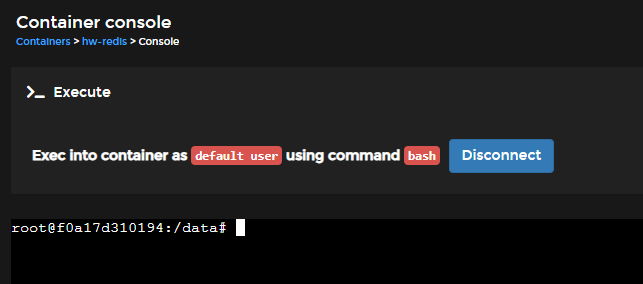 Portainer Container Console Shell