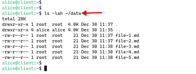 Verify mount directory