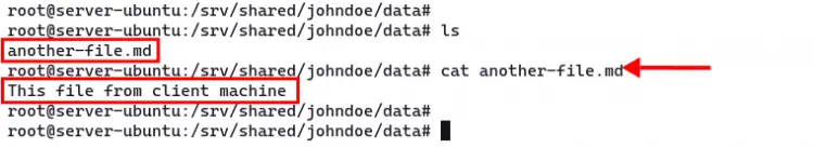Verify file on server