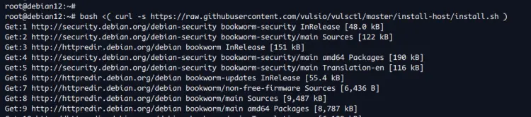 install vuls