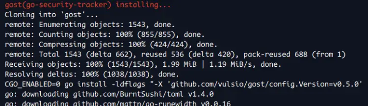 install gost