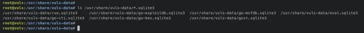 list databases cves