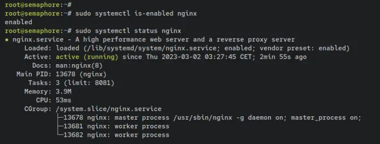 verify nginx