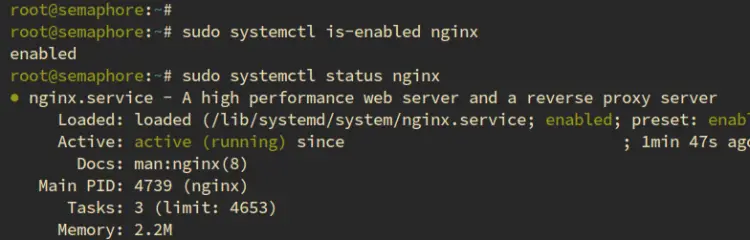 check nginx