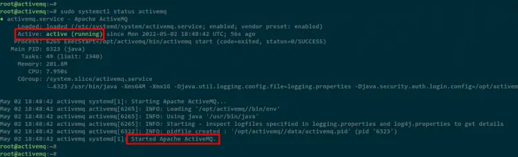 start and verify activemq