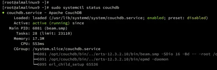 verify couchdb server