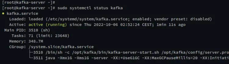 check kafka