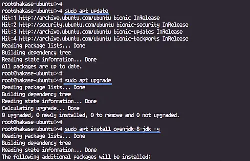 Install Java