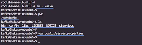 Start Apache Kafka