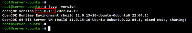 check java version