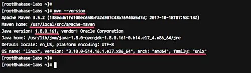 Test apache maven