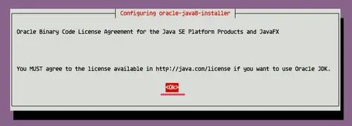 Accept Oracle Binary License