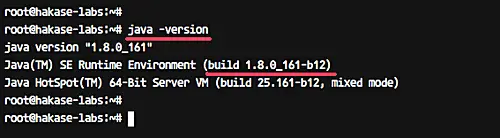 Check java version