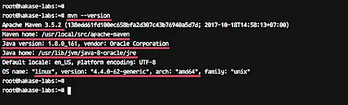 Test Apache Maven setup