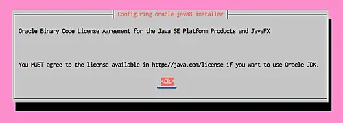 oracle-java8-installer