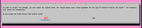 Accept the Oracle License