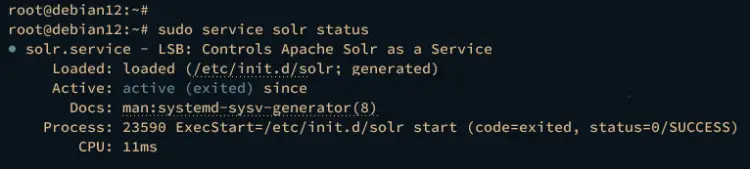 check solr service