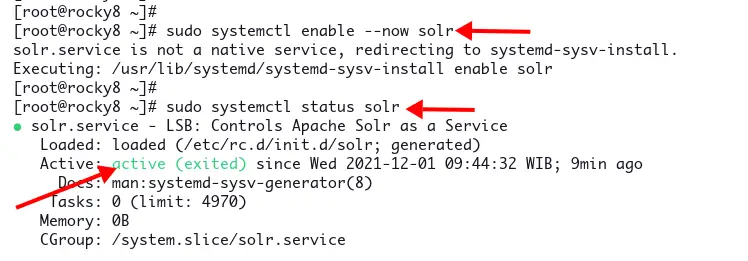 Start and Enable Solr