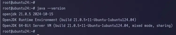 check java version