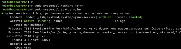 verify nginx