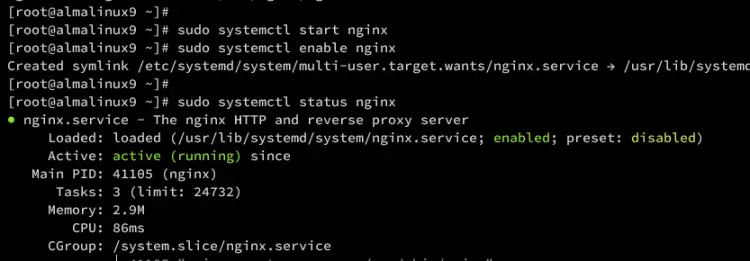 verify nginx