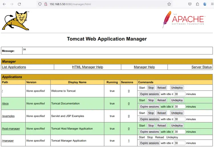 login tomcat manager dashboard