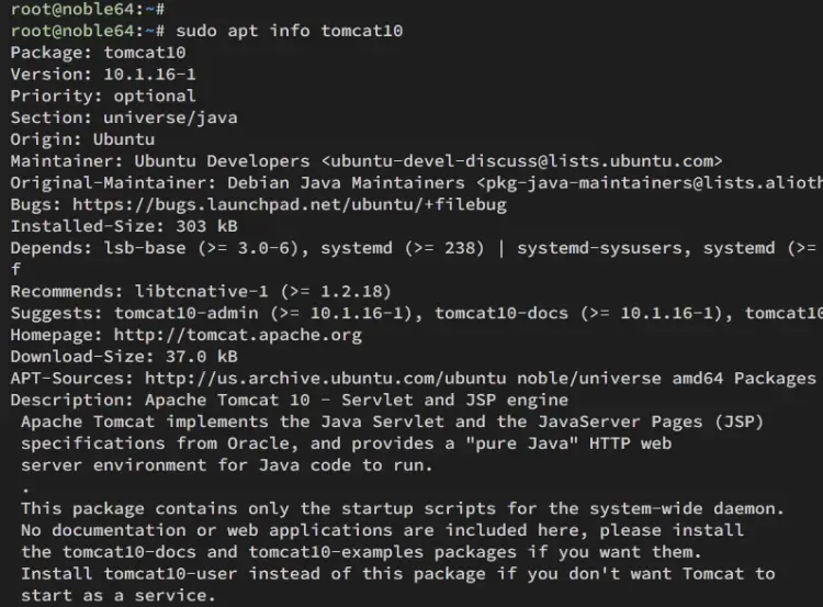 info tomcat10 package