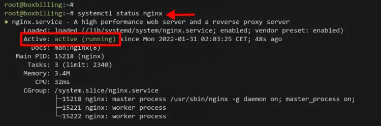 Checking Nginx service