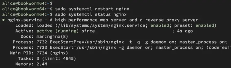 check nginx