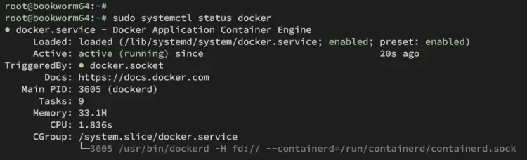 check docker