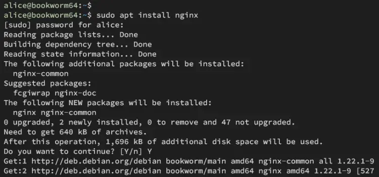 install nginx
