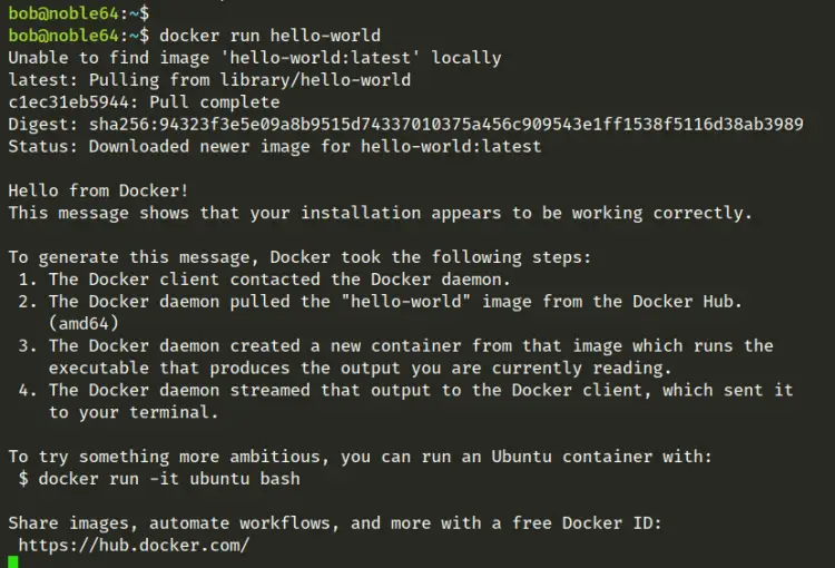 docker run hello world