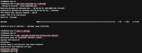 Install Caddy web server