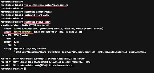 Running Caddy as a Service on Systemd Ubuntu 16.04