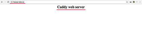 Caddy web server is running