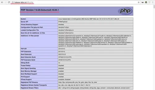 Testing Caddy Web Server