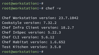 check chef version
