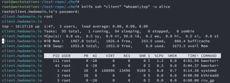 running Linux command via chef to client