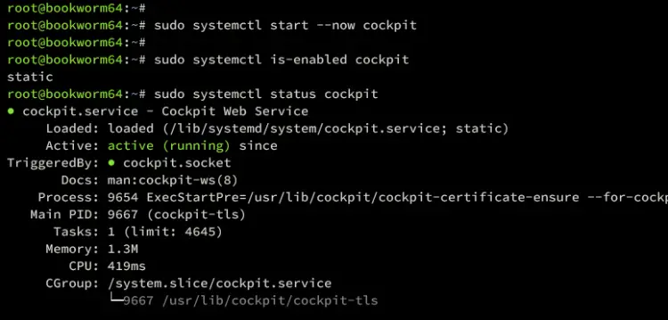 start verify cockpit