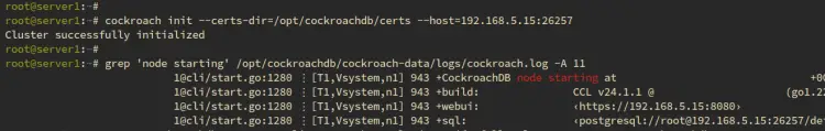 initialize cluster