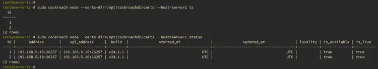 check cluster status