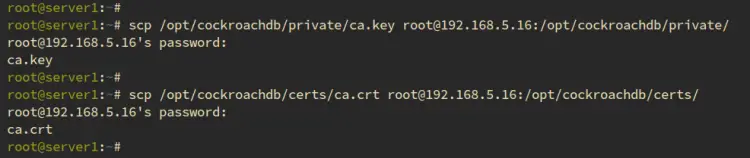copy ca to server2