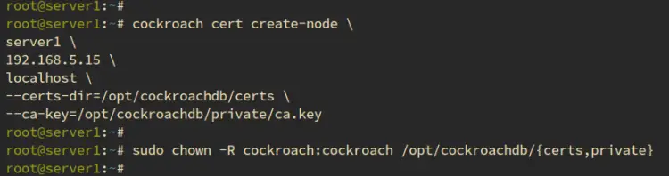 create certificate server1