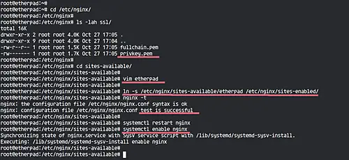 Etherpad behind nginx proxy