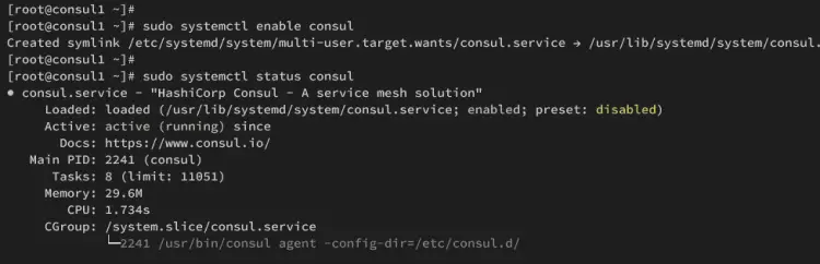 consul1 running