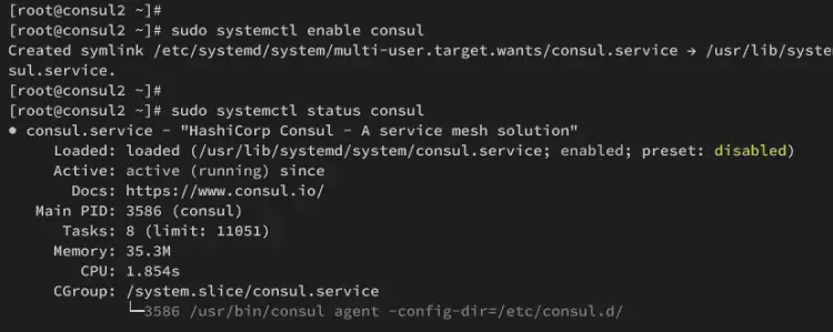 consul2 runningh