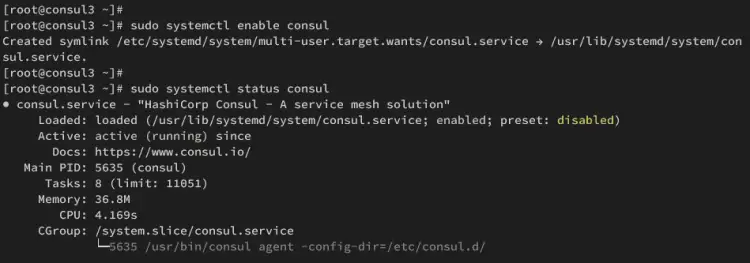 consul3 running