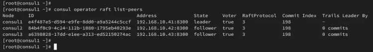 list consul peers