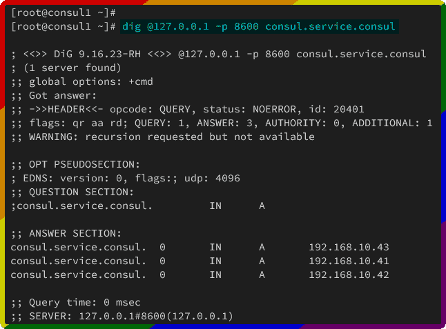 consul dns